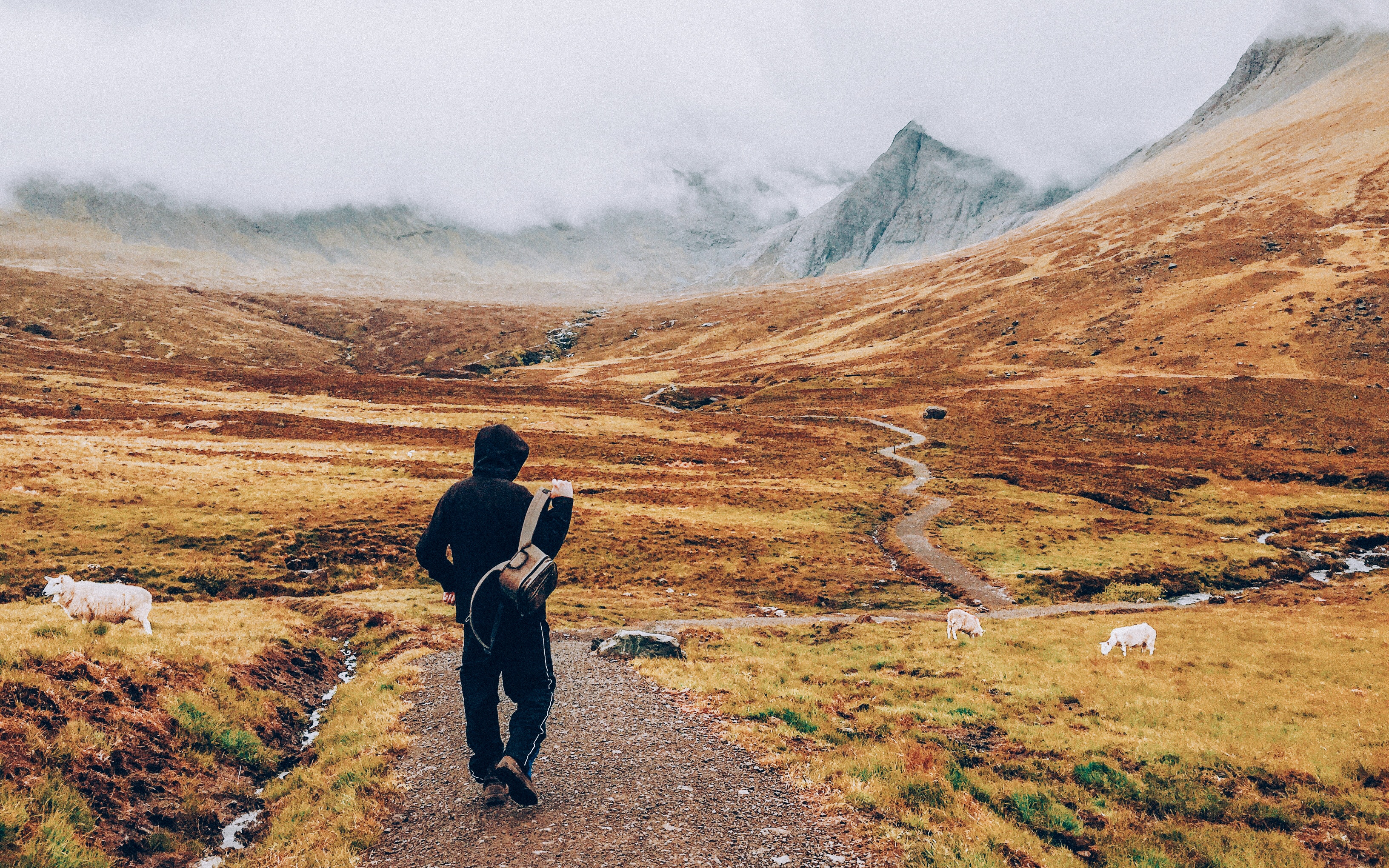 Guy walking on a valley